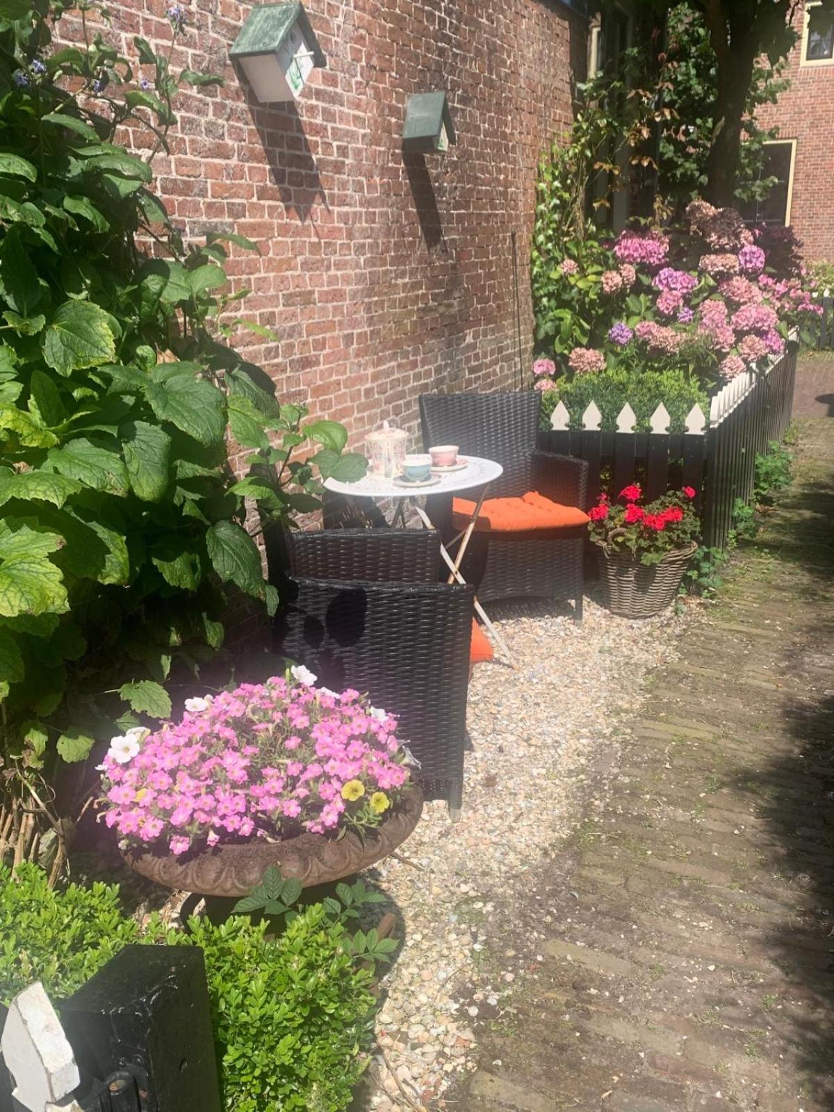 "Het Steechje" In Ie Bij Schiermonnikoog En Ameland Apartment Ee Екстериор снимка