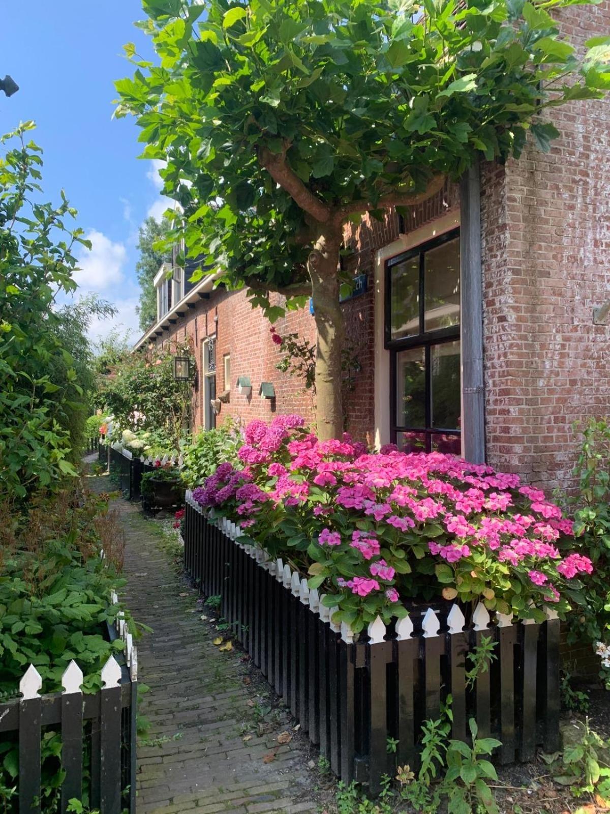 "Het Steechje" In Ie Bij Schiermonnikoog En Ameland Apartment Ee Екстериор снимка