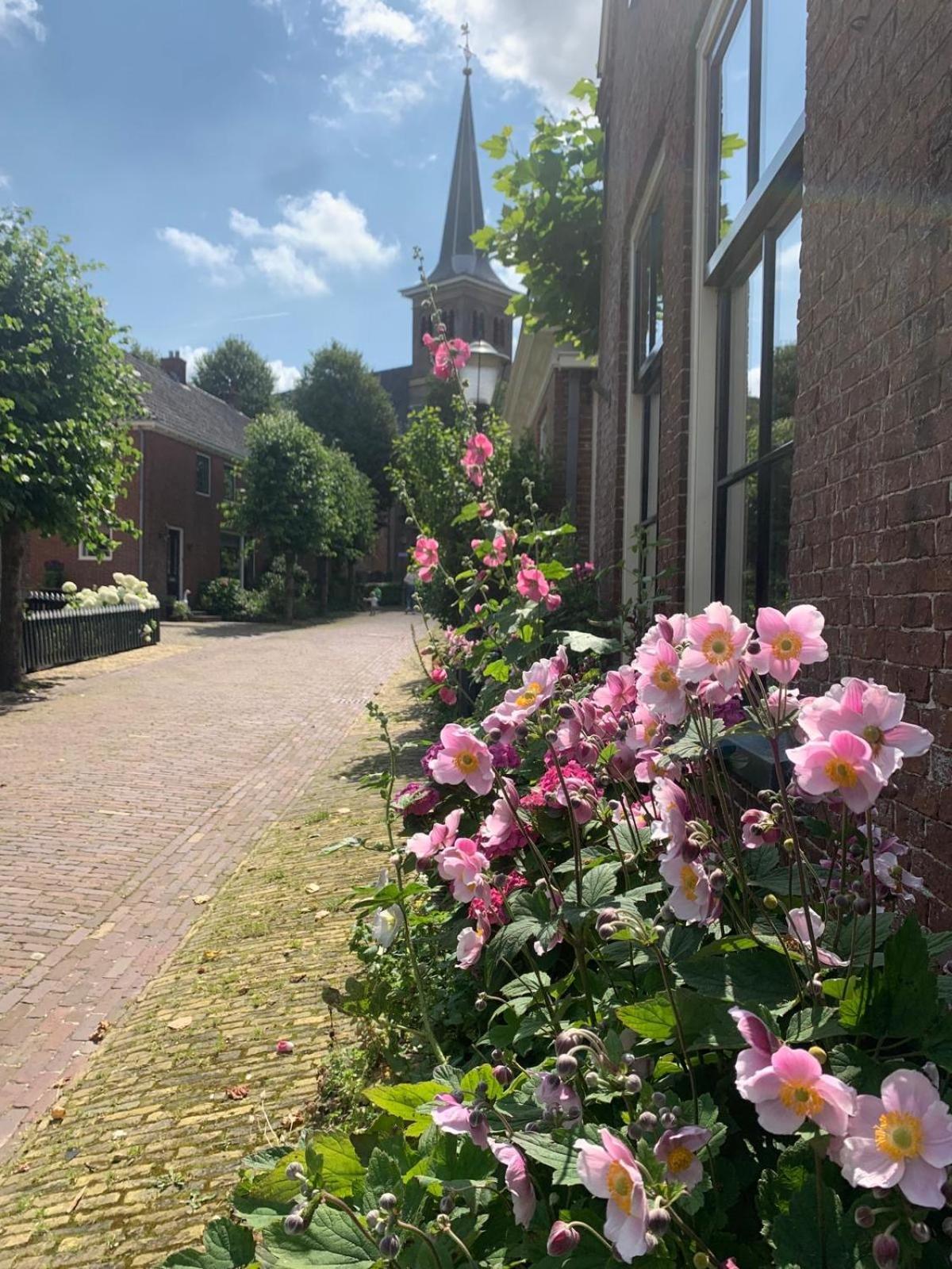 "Het Steechje" In Ie Bij Schiermonnikoog En Ameland Apartment Ee Екстериор снимка