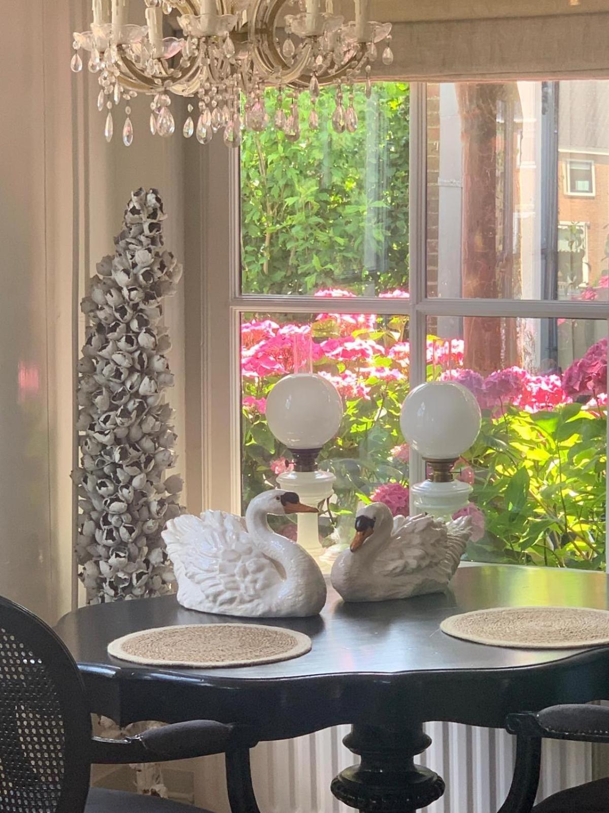 "Het Steechje" In Ie Bij Schiermonnikoog En Ameland Apartment Ee Екстериор снимка